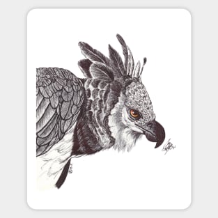 Harpy Eagle Sticker